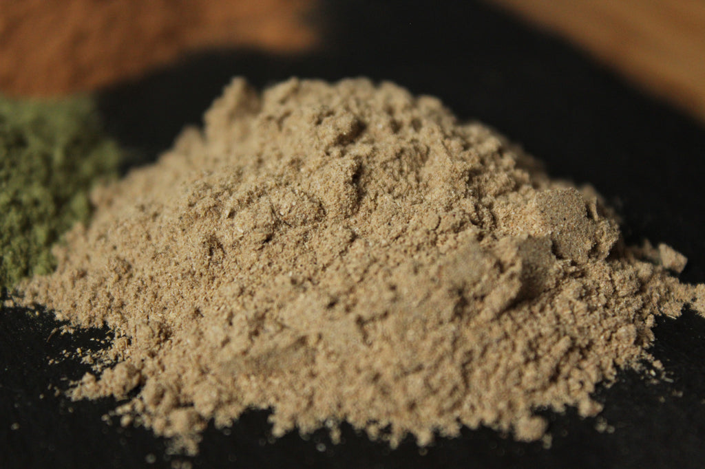 Uses & Health Benefits of Aloe Vera Powder