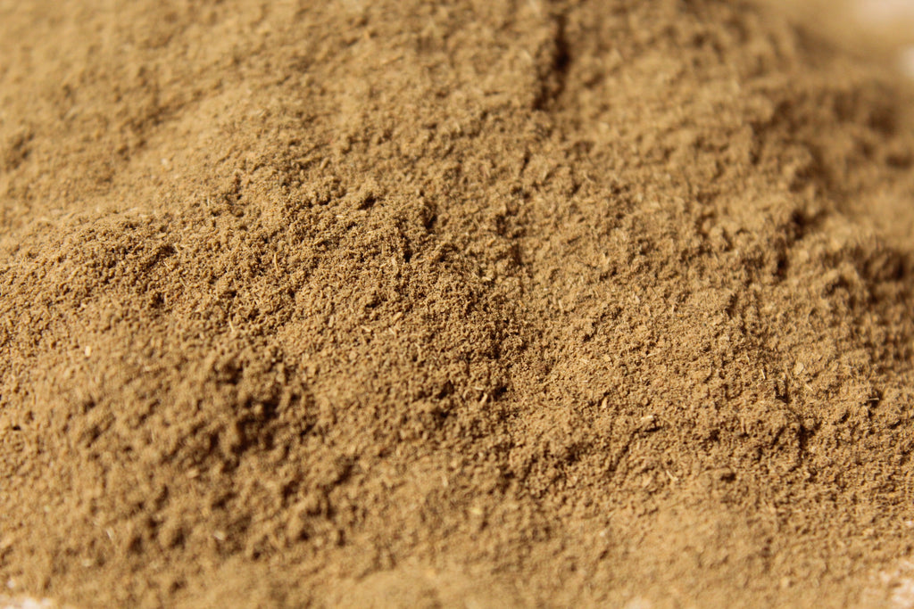 Health Benefits of Bacopa Powder